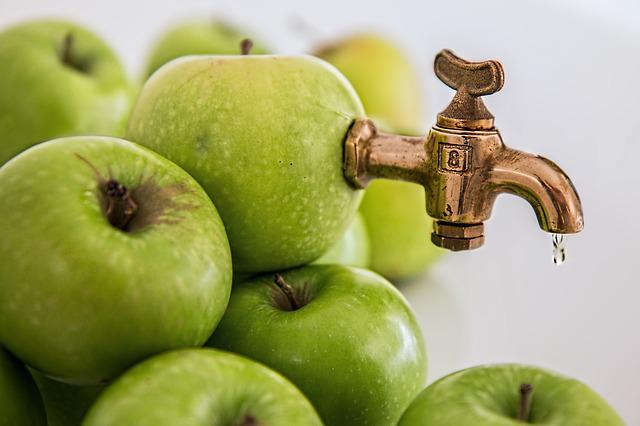 apples have high water content