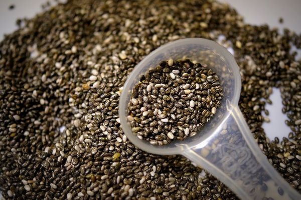 nutrition value of chia seeds