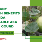 health-benefits-of-tinda-vegetable-apple-gourd