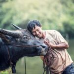 common diseases in buffaloes