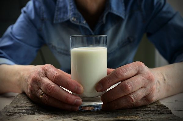  Buffalo Milk May Improve Heart Health
