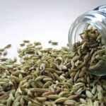 health benefits of fennel seeds