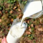 health benefits of cow milk