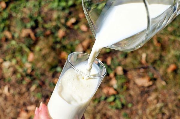 health benefits of cow milk