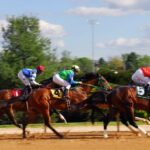 common health problems in racing horses