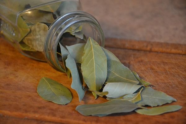 health-benefits-of-bay-leaves