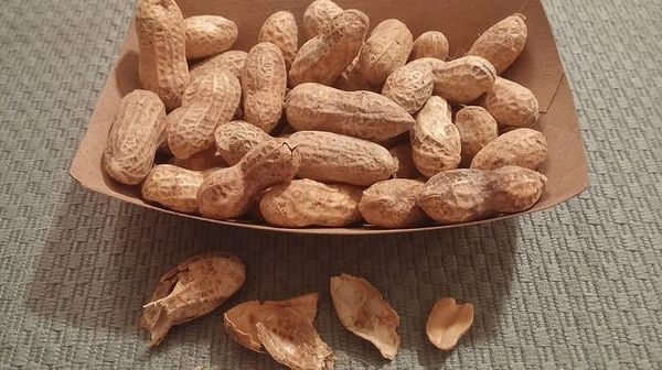 Peanuts Have Wound Healing Properties as It’s a Rich Source of Protein 