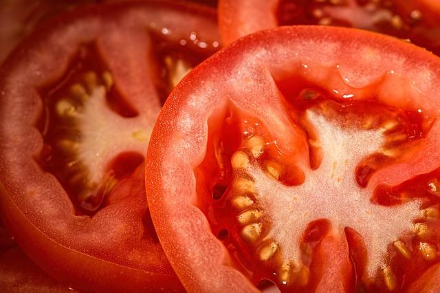 tomatoes are toxic for dogs