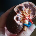 Chronic KIdney Disease