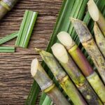 sugarcane