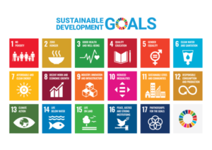 Working Towards 17-SDG-Goals