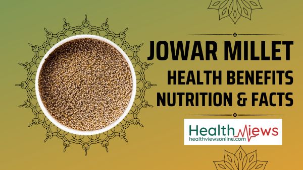 jowar-sorghum-types-of-millets-health-views-online
