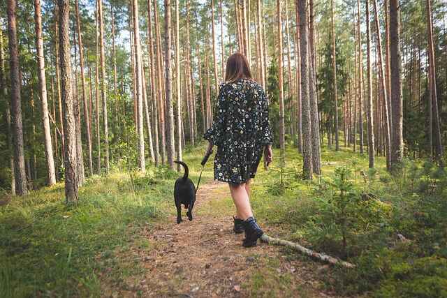 Brisk Walking