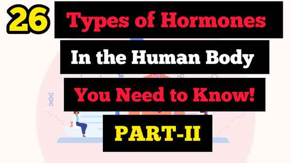types of hormones part 2