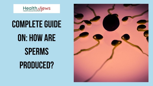 how are sperms produced?