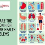 Common High Creatinine Health Problems