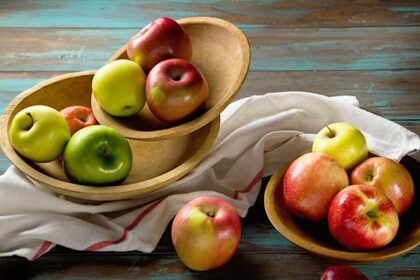 Different Types of Apple Fruit You Need to Know Now