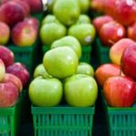 Different Types of Apples in India You Need to Know Now