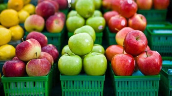 Different Types of Apples in India You Need to Know Now