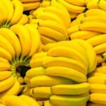 Different Types of Banana Varieties You Need to Know Now