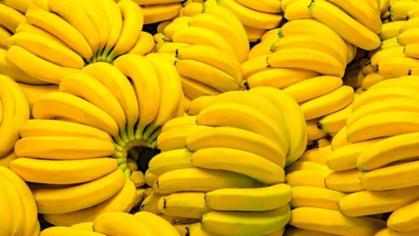 Different Types of Banana Varieties You Need to Know Now