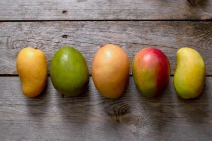 Different Types of Mangoes in India You Need to Know Now