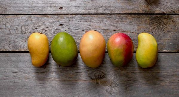Different Types of Mangoes in India You Need to Know Now