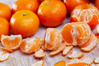 Different Types of Orange Varieties You Need to Know Now