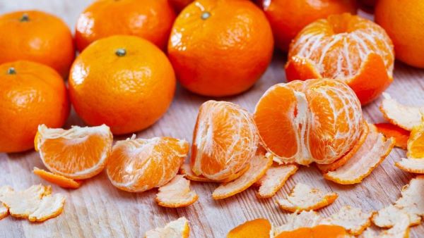 Different Types of Orange Varieties You Need to Know Now