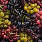 Different Types of Grapes in India You Need to Know Now