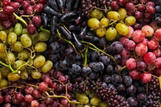 Different Types of Grapes in India You Need to Know Now