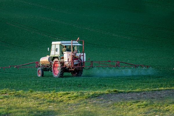 All You Need to Know About Chlorpyrifos, A Common Pesticide Used in Vegetables