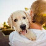 Now Know All about Lyme Disease in Dogs