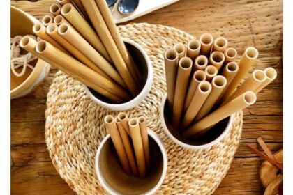 All About Bamboo Drinking Straws for Everyday Use