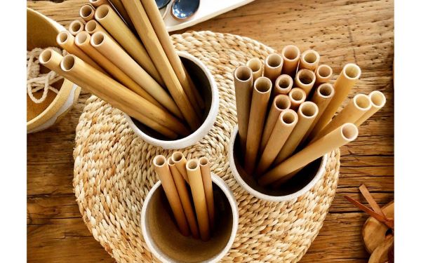 All About Bamboo Drinking Straws for Everyday Use