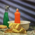 Now Know All About Eco-Friendly Cleaning Products for Everyday Use