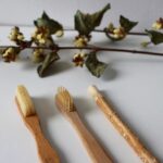 Now Know All About Reusable Bamboo Toothbrush for Everyday Use