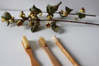 Now Know All About Reusable Bamboo Toothbrush for Everyday Use