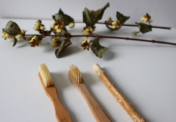 Now Know All About Reusable Bamboo Toothbrush for Everyday Use