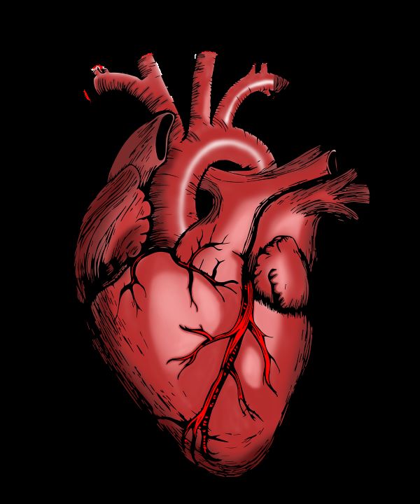 Now Know All about Transposition of the Great Arteries