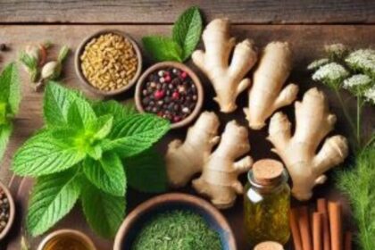 7 Best Herbs for your Gut Health.