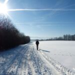 The Importance of Vitamin D in Winter: How to Get Enough