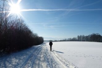 The Importance of Vitamin D in Winter: How to Get Enough