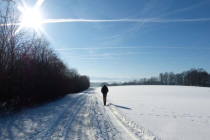 The Importance of Vitamin D in Winter: How to Get Enough