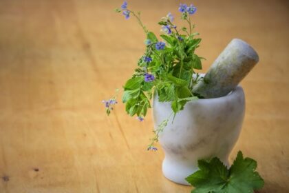 Common Homeopathic Remedies for Everyday Ailments