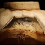 Gut Health and Weight Loss: Is There a Link?