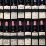 Top 10 Myths About Homeopathy Debunked
