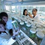 10 Pharma Innovations Designed for Women Health in India