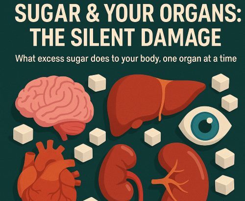 Excess-Sugar-and-Harmful-Effects-on-Organs