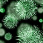 amr-antimicrobial-resistance